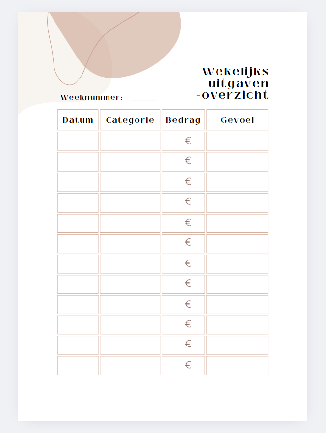 Budgetboekje en kasboekje invullen – moneyplanner voor dagelijks financieel overzicht